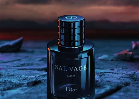 logo sauvage dior